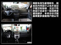 福瑞迪 圖片