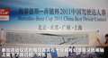 奔驰A级(进口) 图片