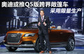 奥迪Q5 图片
