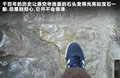 奥迪Q5 图片