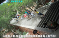 奥迪Q5 图片