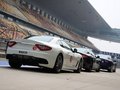 GranTurismo 玛莎拉蒂 GTMC Stradale图片
