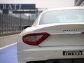 GranTurismo 玛莎拉蒂 GTMC Stradale图片
