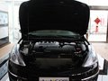 天籁 公爵 3.5L CVT 尊领版 2011款图片