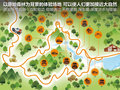 揽胜 图片
