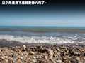 海马骑士 图片