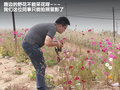 馬自達8 圖片