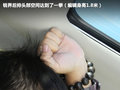锐界(海外) 图片