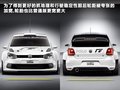 Polo 图片