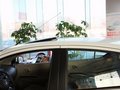 阳光 2011款 新阳光 1.5L CVT XL 豪华版图片