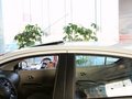 阳光 2011款 新阳光 1.5L CVT XL 豪华版图片