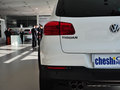 Tiguan 2.0T R-Line 5座 2011款圖片