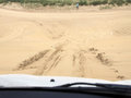 MINI COUNTRYMAN 图片