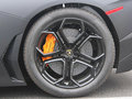 Aventador 图片