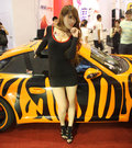 FJ酷路泽 图片