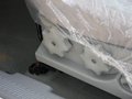 瑞鹰 图片