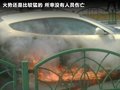 FF 图片