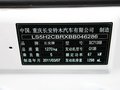 羚羊 图片