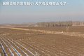 宝马X3（进口） 图片