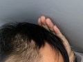 风朗 图片