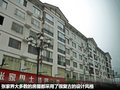 起亚K2 图片
