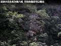 起亚K2 图片