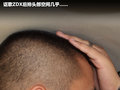 讴歌ZDX 图片