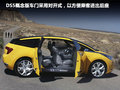 DS 5(进口) 图片