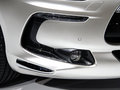 DS 5(进口) 图片