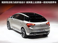 DS 5(进口) 图片