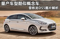 DS 5(进口) 图片