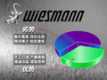 威兹曼GT 图片