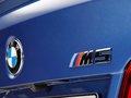 宝马M5 新M5图片
