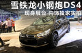 DS 4 图片