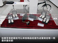 帕萨特 图片