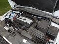 Leon 2012款 1.8TSI DSG FR+图片