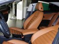 大众CC 2011款 2.0TSI DSG 豪华图片