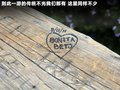 科迈罗 图片