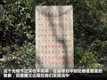 瑞风 图片