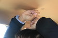宝利格 图片