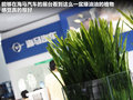 长城M4 图片