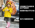 揽胜极光（进口） 图片