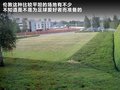 揽胜极光（进口） 图片