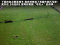 揽胜极光（进口） 图片