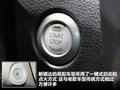 騏達(dá) 圖片