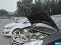 悦动 图片