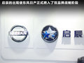 骐达 图片