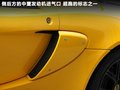 Exige 图片