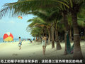 奔驰C级 图片
