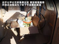 瑞虎 图片
